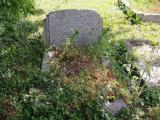 image of grave number 796836